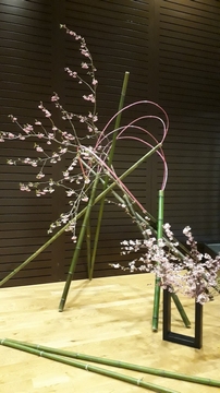 Sakura Japan Kultur Festival Kloten 2019, Ikebanaausstellung