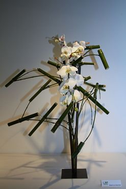Ikebana Orchideenausstellung Bern 2011