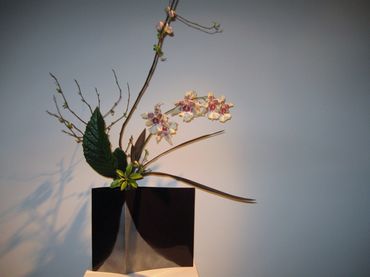 Ikebana Orchideenausstellung Bern 2011