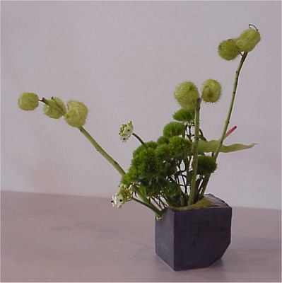 Ikebana Global Training Session in Montoly Gland