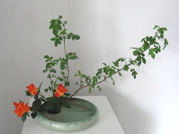 Moribana mit Rosen