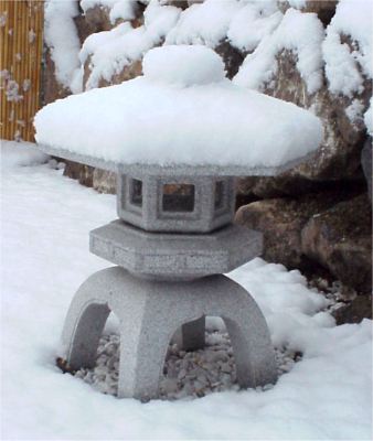 Kodai Yukimi im Schnee