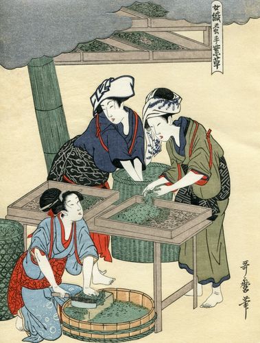 Utamaro Kitagawa, Bild Nr. 03: Fütterung der Seidenraupen