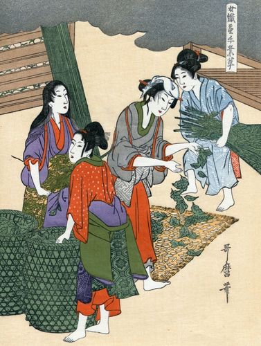 Utamaro Kitagawa, Bild Nr. 05: Das grosse Erwachen der Seidenraupen
